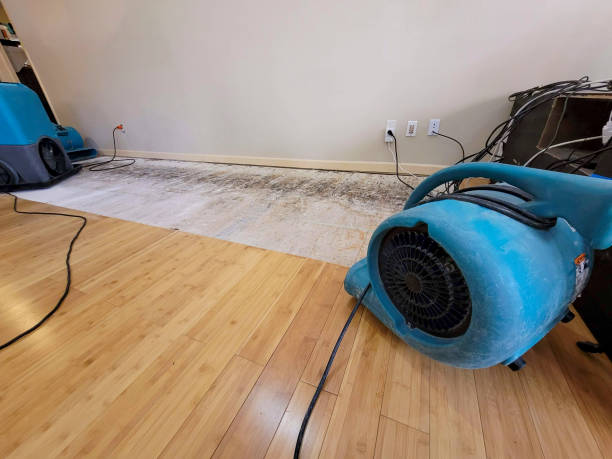 Professional Water Damage Repair technician working in Lisbon, ME
